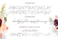 The Serenity - Lovely Script