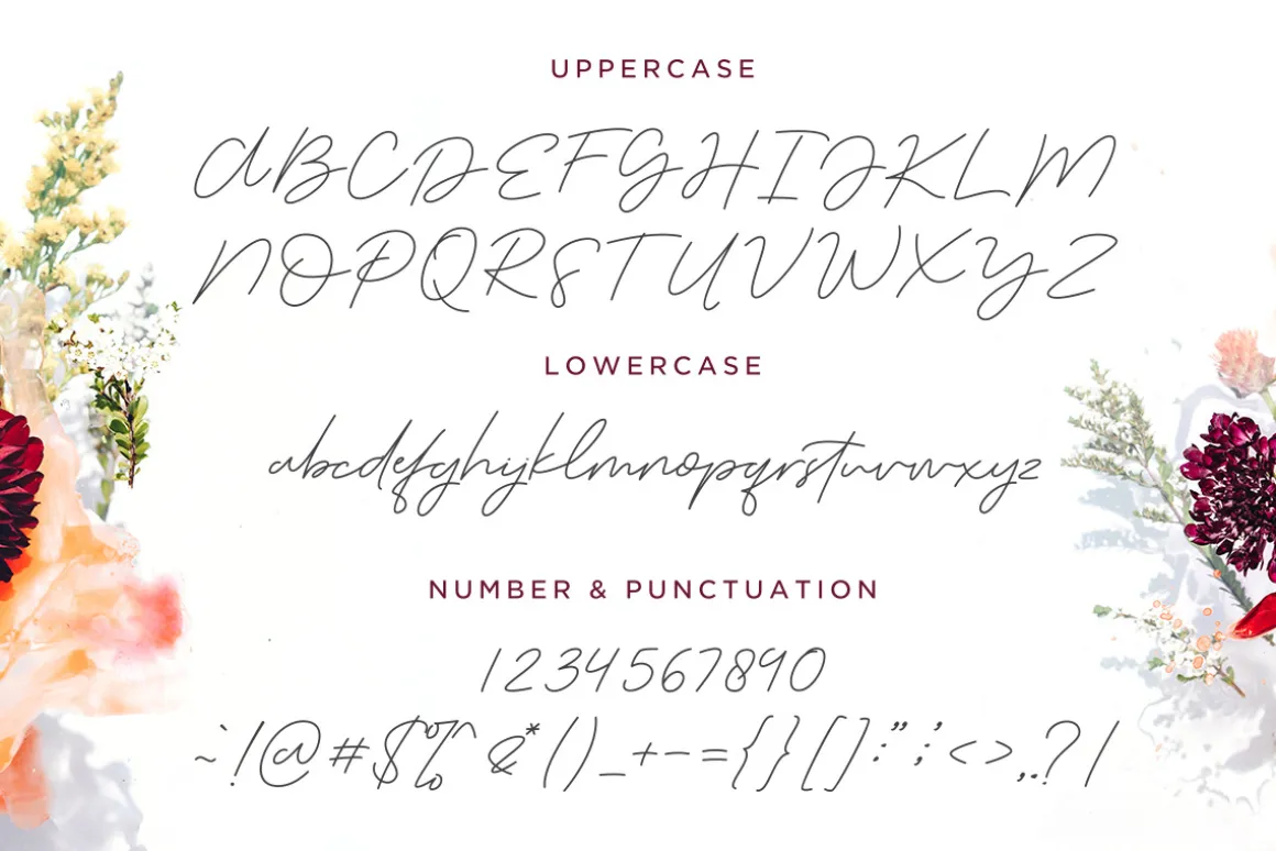 The Serenity - Lovely Script