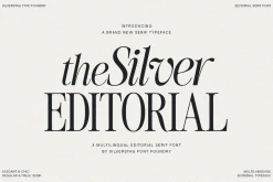 The Silver Editorial Serif Font
