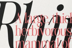 The Silver Editorial Serif Font