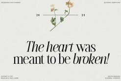 The Silver Editorial Serif Font