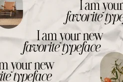 The Silver Editorial Serif Font