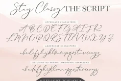 The Stay Classy Font Duo