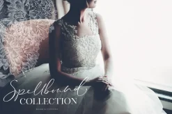 The Stay Classy Font Duo
