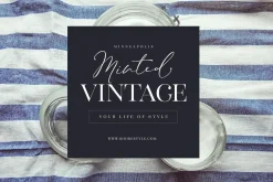 The Stay Classy Font Duo