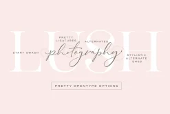The Stay Classy Font Duo