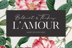 The Stay Classy Font Duo