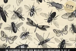 The Vintage Graphics Design Pack