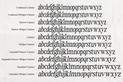 The zondaya Gevola | 30 Font