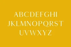 Thomas Mag Serif Fonts Family Pack
