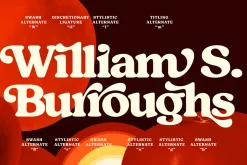 Tomato Ketchup Retro Serif Font