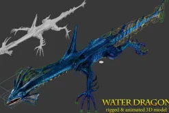 Toon Water Dragon
