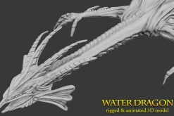 Toon Water Dragon