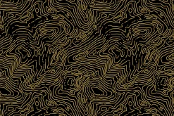 Topographic map seamless pattern