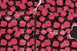 Torn Paper Photoshop Brushes