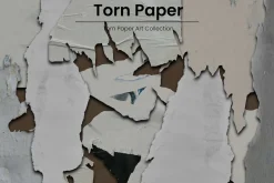 107 Torn Paper Art Collection