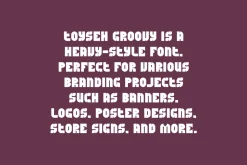 Toyseh Groovy - Heavy Font