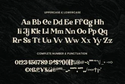 Transcity - A Playful Serif