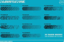 TransferTone | Affinity Brushes