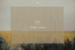 Transparent Halftone Paper Textures