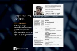 Transportation Planner resume