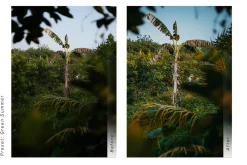 Travel Blogger LR - Presets
