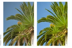 Travel Blogger LR - Presets
