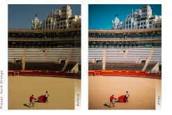 Travel Blogger LR - Presets
