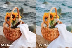15 Travel LR Presets + Video LUTs