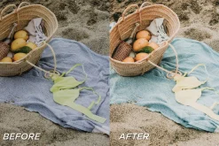 15 Travel LR Presets + Video LUTs