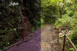 Travel POP Lightroom Presets Collect