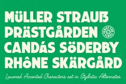 Travel Poster Font Duo