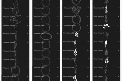 Trendy Stamps for Procreate