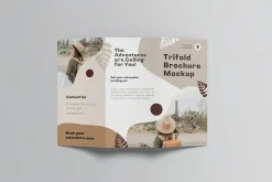 Trifold Brochure Mockups