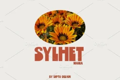 Triptik-Psychedelic Typeface