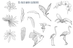 Tropical Plants and Birds Outline