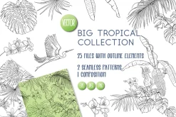 Tropical Plants and Birds Outline