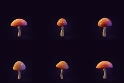 Tropical Plants Pack - Rigged