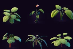 Tropical Plants Pack - Rigged