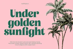 Tropic Fresh Bold Vintage Serif