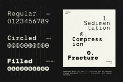 TRT Terminal Monospace Precision