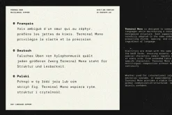 TRT Terminal Monospace Precision
