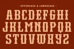 True Story - Western Slab Serif