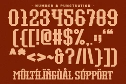 True Story - Western Slab Serif