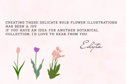 126 Tulip Varieties Flat Vectors