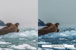 20 Uncharted Lightroom Presets LUTs