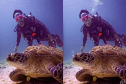 Underwater Bubble Photoshop Overlays
