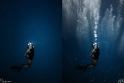 Underwater Bubble Photoshop Overlays