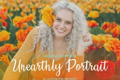 Unearthly Portrait Lightroom Brushes