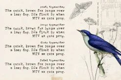 Unexpected Typewriter font